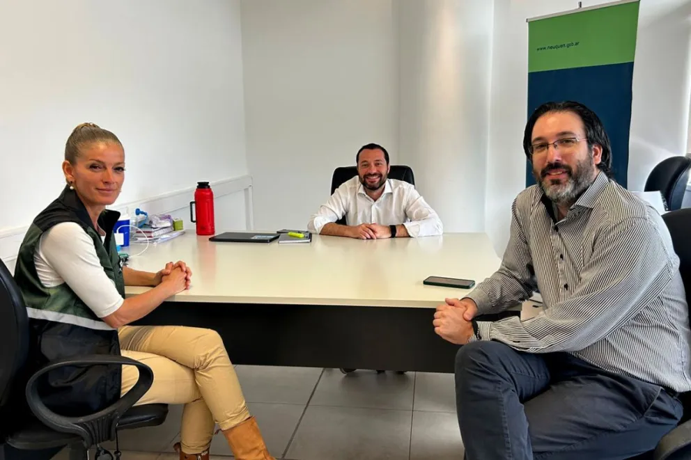 Funcionarios provinciales y del Segemar se reunieron por vigilancia volcánica