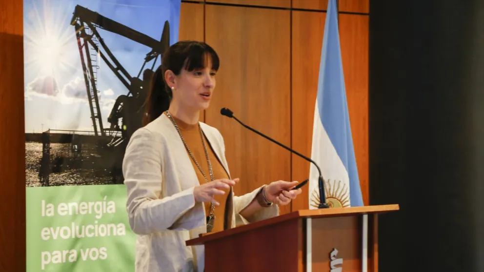 Avanzan en la implementación del Plan Hidrógeno Patagonia