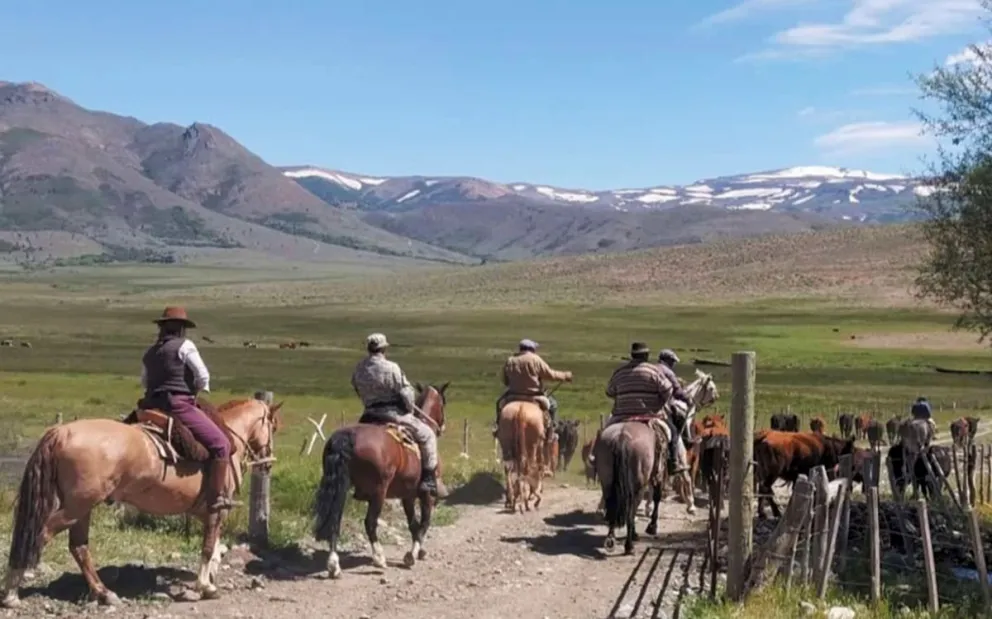 Solicitan tomar medidas de precaución por arreo de animales en las rutas