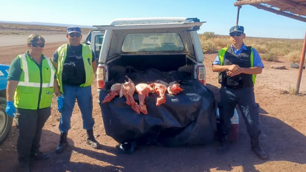 Interceptaron más de mil kilos de carne transportada de forma ilegal 