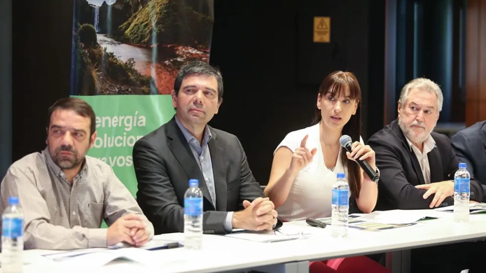 Leticia Esteves junto al ministro y funcionarios de Energía.