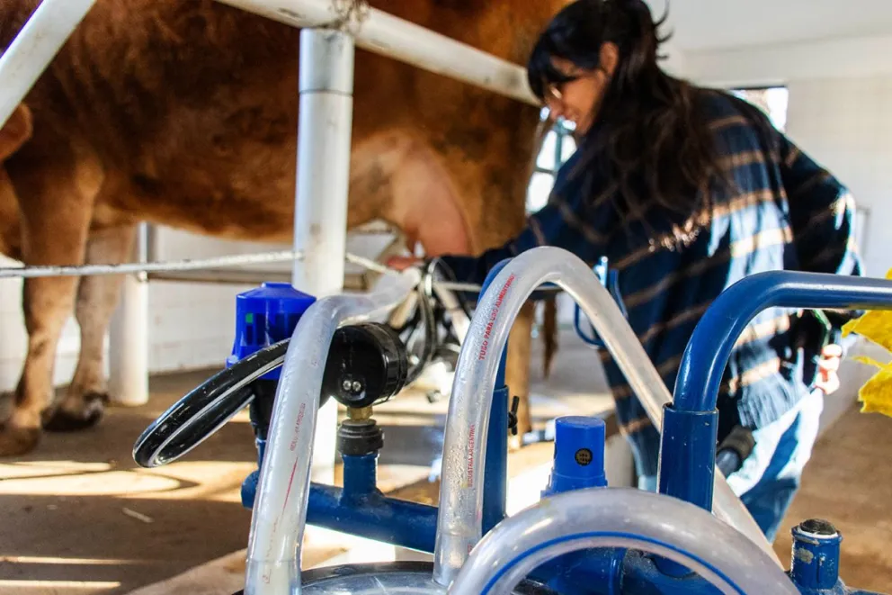 Las escuelas agropecuarias siguen en actividad