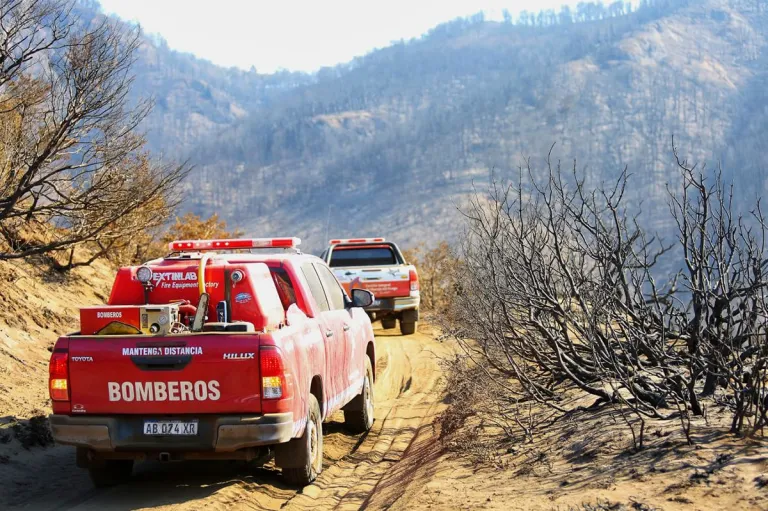 Desplegaron 57 brigadistas, tres helicópteros y dos aviones en proximidades de Aluminé