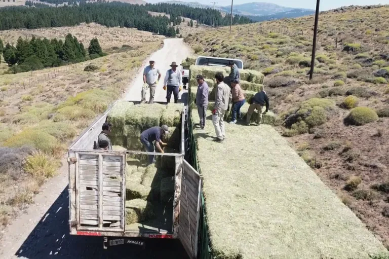 Producción brinda asistencia a los pobladores en las zonas cercanas al fuego