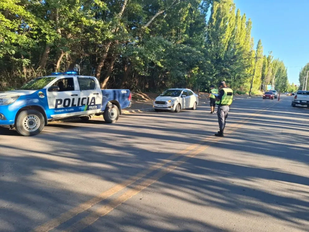 Efectivos de todas las divisiones policiales participaron de los operativos.