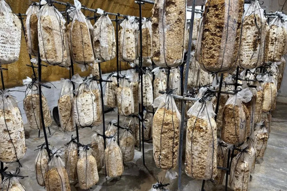 Visita a emprendedores tur&iacute;sticos en San Patricio del Cha&ntilde;ar