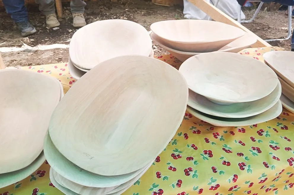 Feria de Artesanos y Productores de la comunidad mapuche Linares