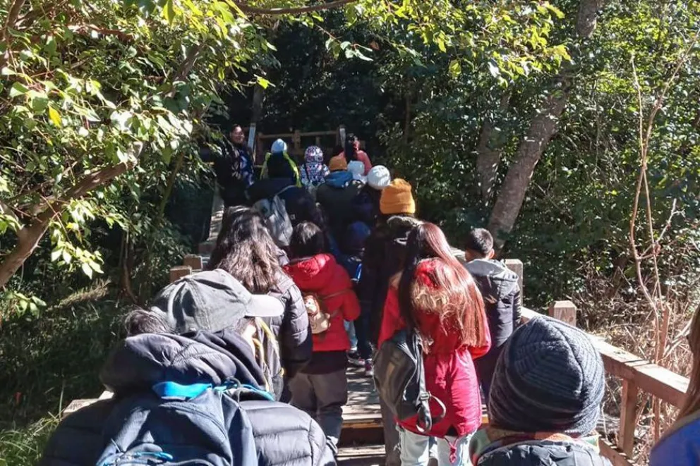 Dictan formación en senderismo para profesionales de educación física
