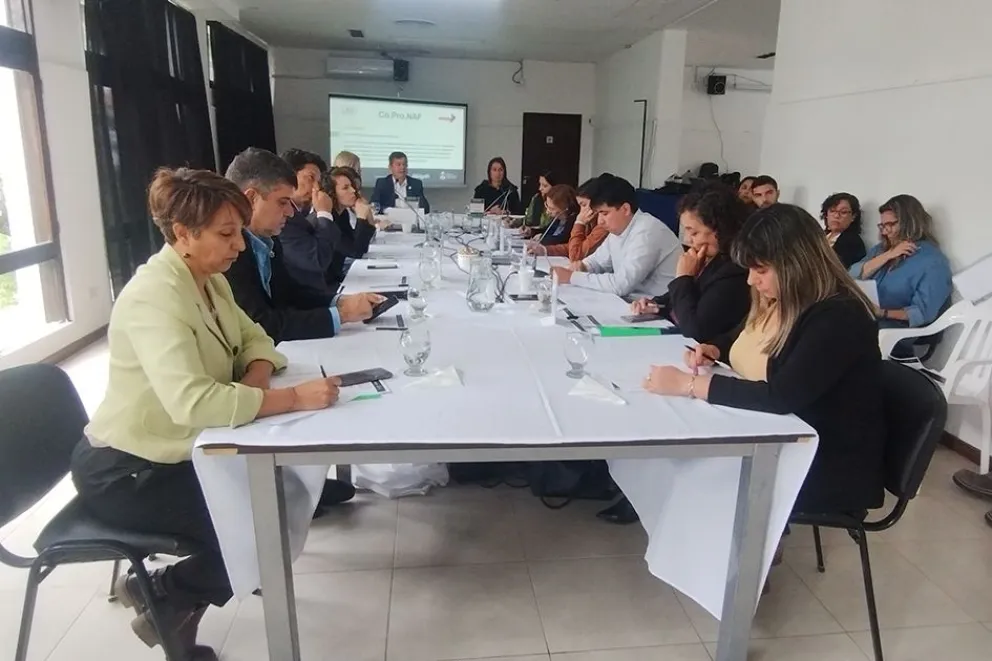 El Consejo Provincial de Niñez, Adolescencia y Familia sesionó en la región Alto Neuquén