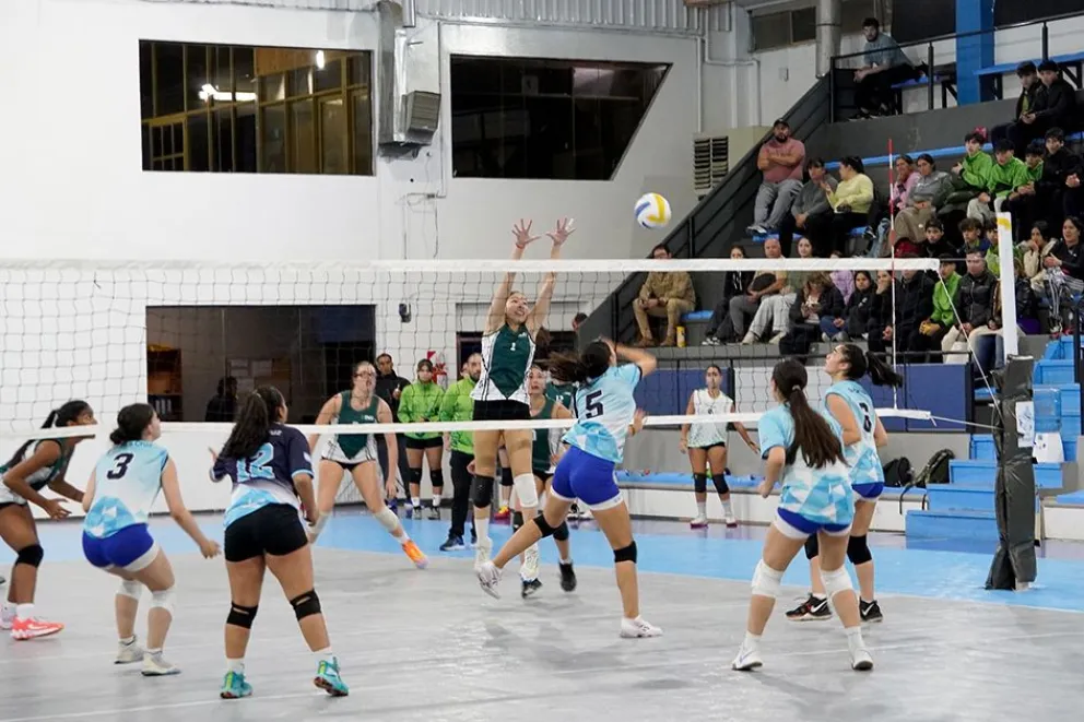 El vóley femenino compitió en el gimnasio CEPARD.