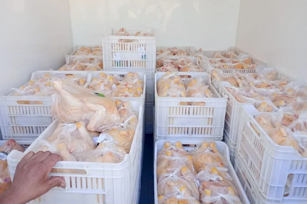 Del interior neuquino a su mesa: vuelve la venta directa de pollos parrilleros