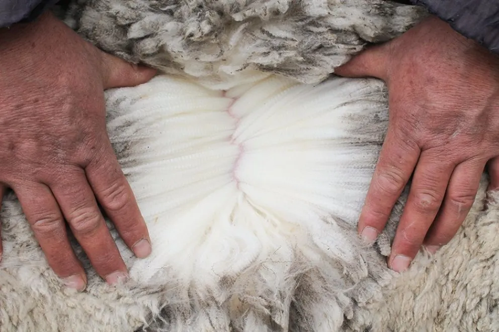 Es necesario diferenciar la producción con sellos o certificaciones. 