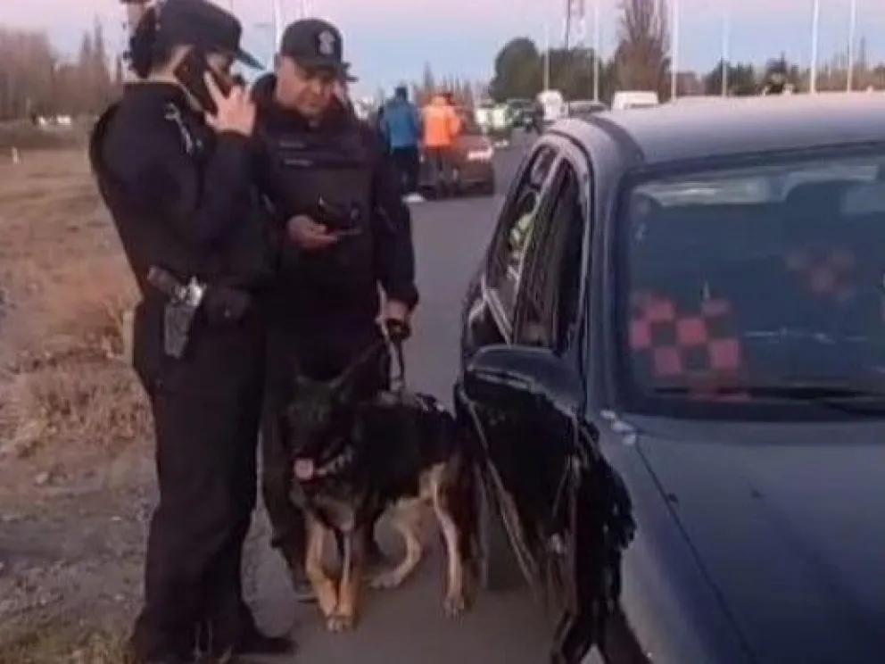 La Policía secuestró drogas en un amplio operativo de tránsito