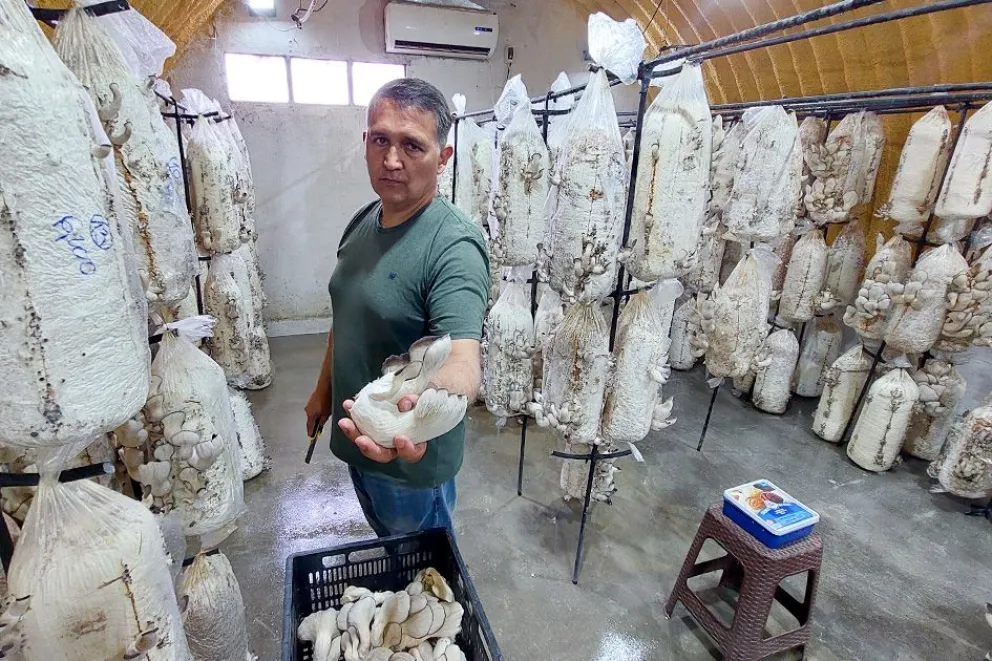 Gastón reformó un galpón para hacer allí todo el proceso productivo.