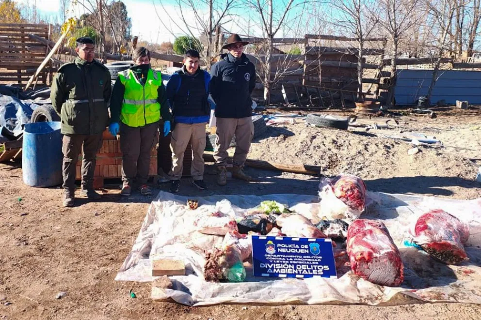 Durante el allanamiento se decomisaron más de 120 kilogramos de carne roja