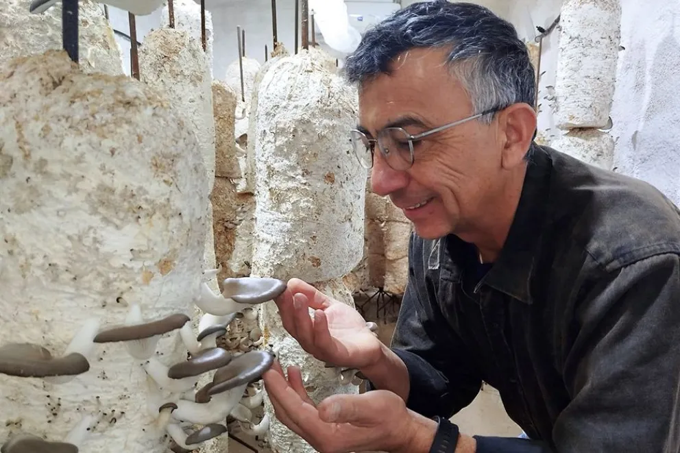 Sergio Bengolea en Patagonia Hongos, el emprendimiento que nació en 2024.