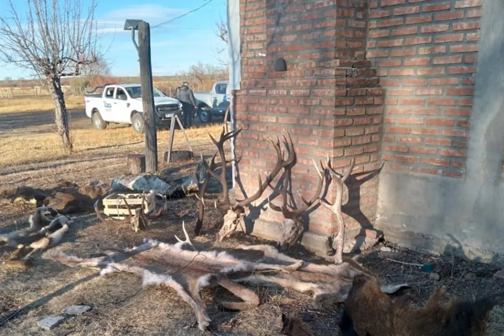 Fauna y Policía desbarataron banda de cazadores furtivos