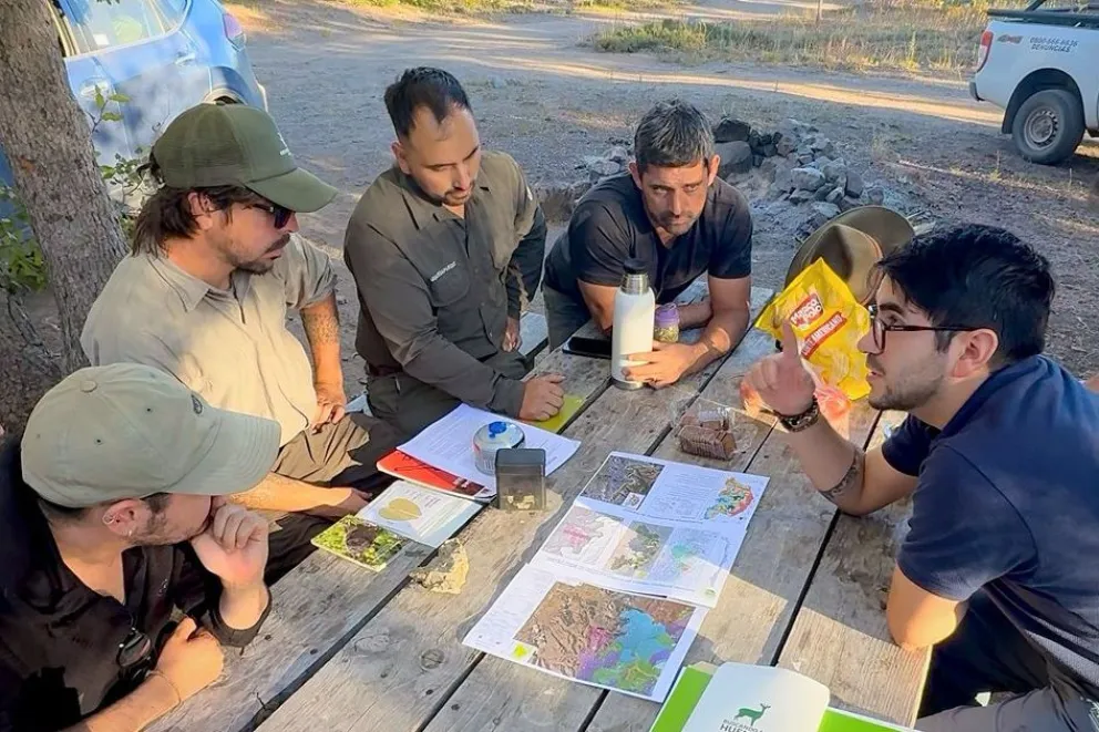Neuquén refuerza acciones con Chile para la conservación del huemul
