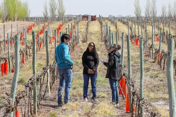 El Camino del Vino se fortalece en la oferta turística neuquina