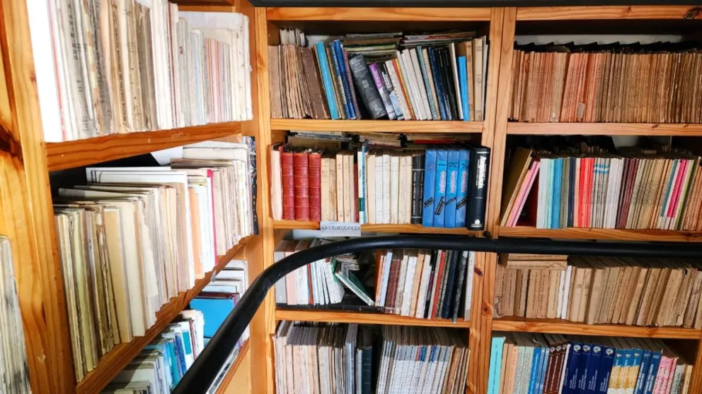 Tesoros de papel: entre fósiles, libros y el rumor persistente del conocimiento