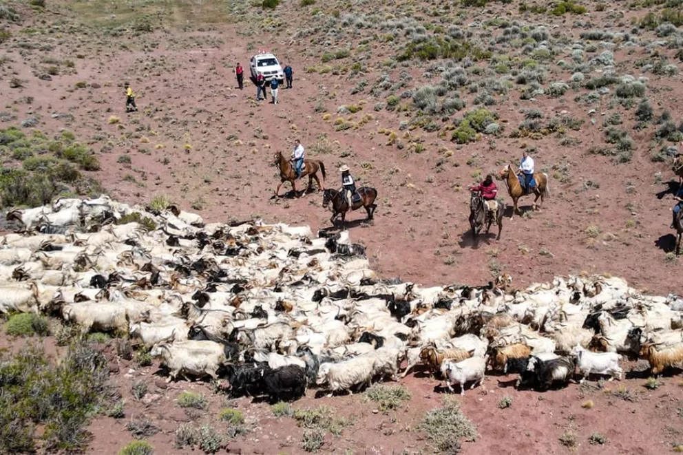 Destacaron el operativo y las obras para la trashumancia