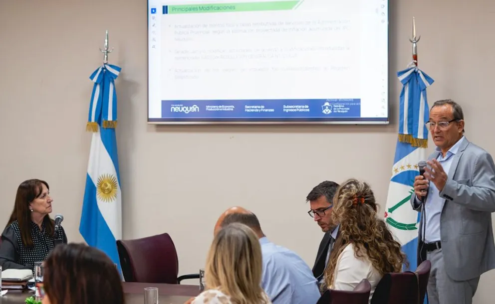 Juan Martín Insúa, subsecretario de Ingresos Públicos, informó a los diputados sobre el alcance del cambio propuesto.