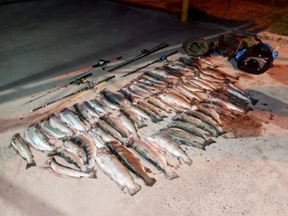 Continúan los fuertes controles contra la pesca ilegal en Piedra del Águila