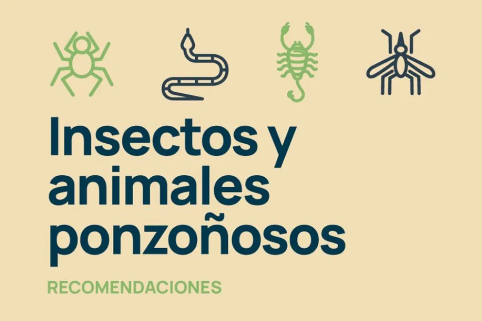 Animales ponzoñosos e insectos: cómo prevenir mordeduras o picaduras