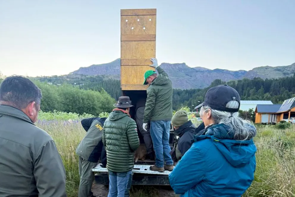 Imagen aportada por el equipo de prensa de la Administración de Parques Nacionales

