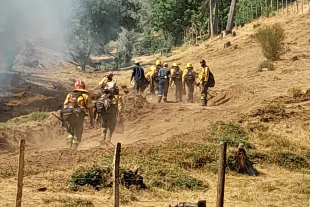 Neuquén colabora activamente en el combate del fuego en Chubut