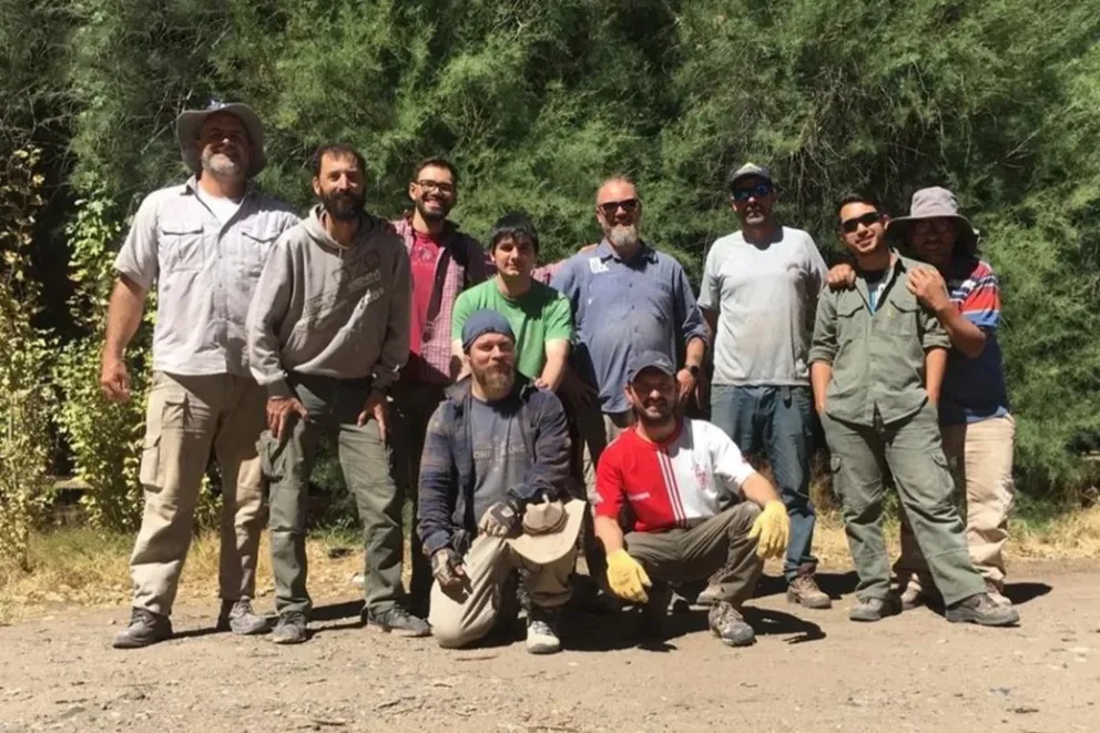 Paleontología: hallan nuevos restos de dinosaurios acorazados