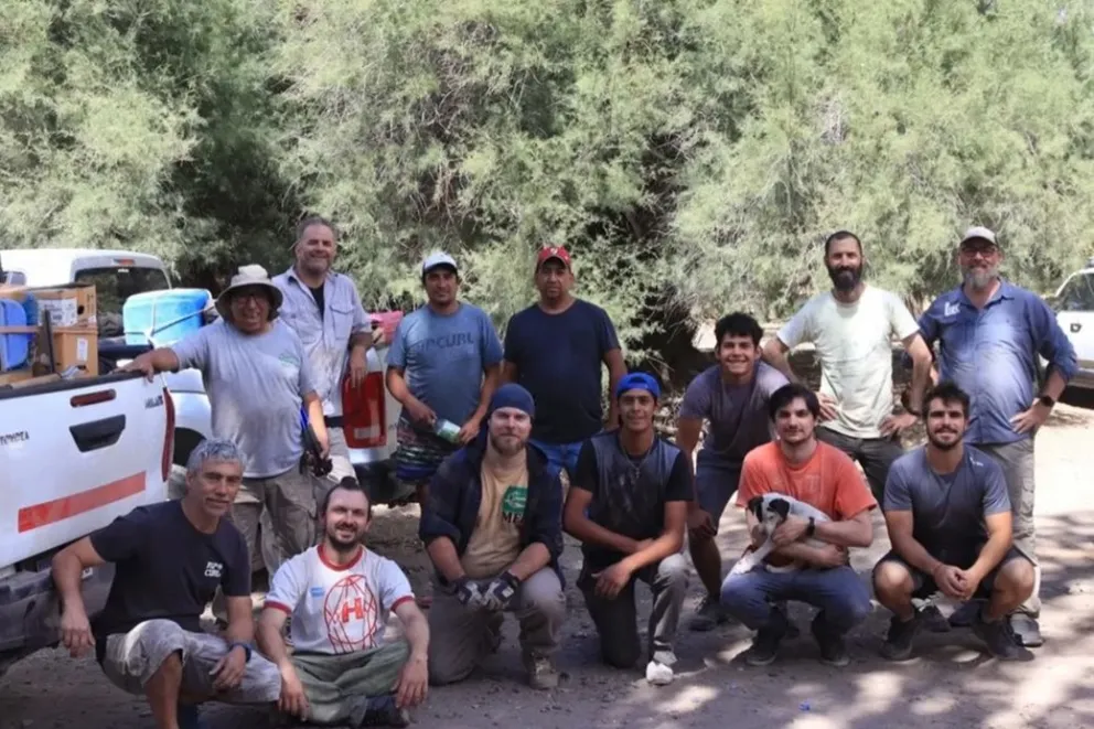 Paleontología: hallan nuevos restos de dinosaurios acorazados