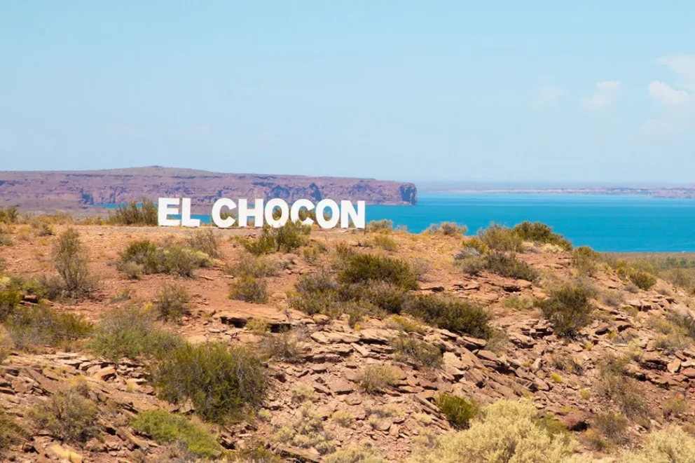 Paleontología: hallan nuevos restos de dinosaurios acorazados