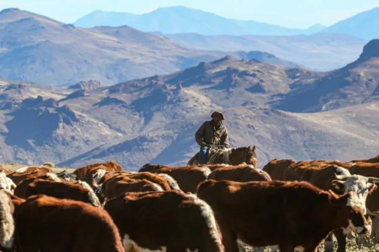 El regreso de la veranada, cuando la montaña devuelve a las familias y los animales