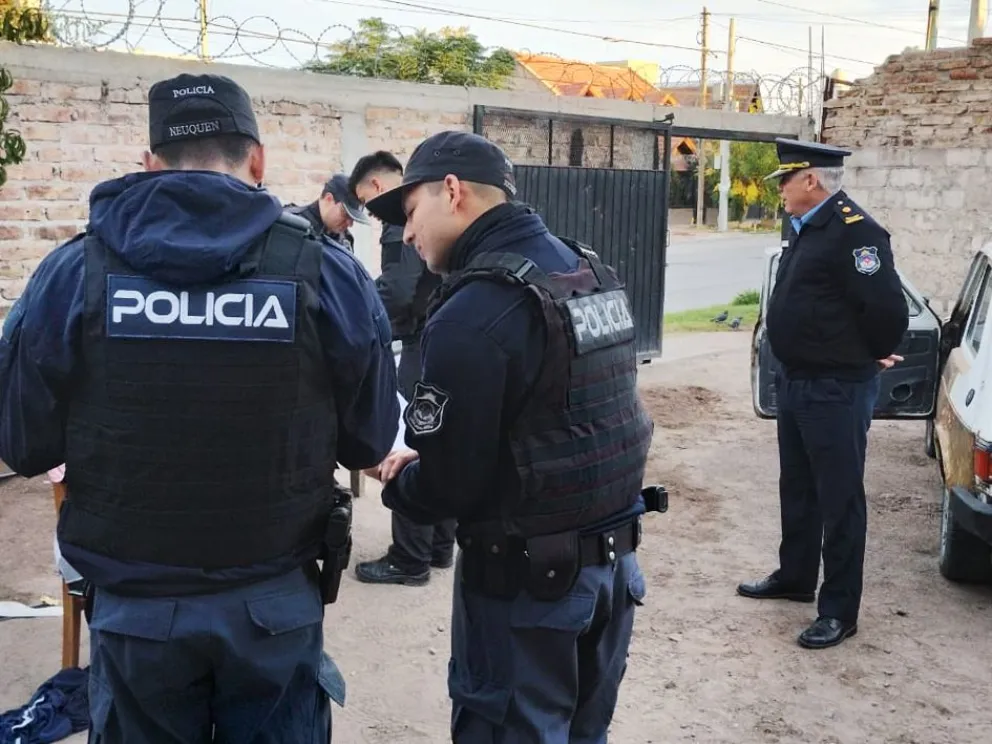 Secuestraron plantas de cannabis de 2,70 metros en el barrio Islas Malvinas