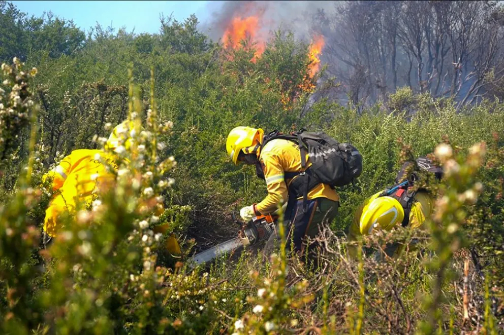 Neuquén prorroga la Emergencia Ígnea por un año ante el alto riesgo de incendios