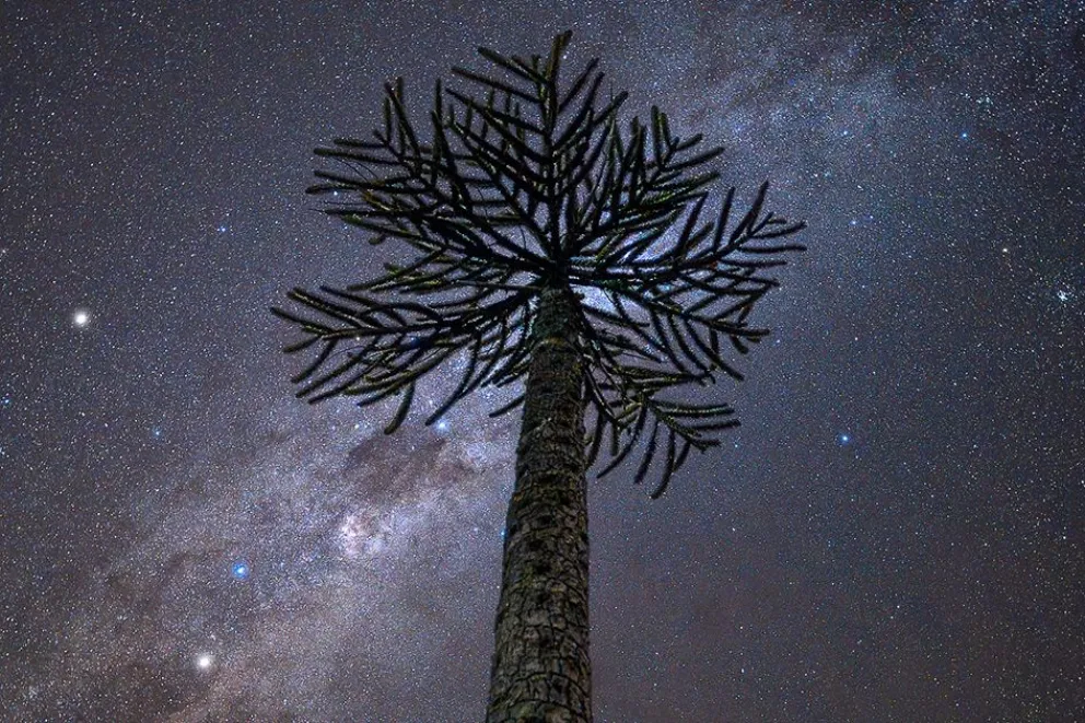 La imagen neuquina que conquistó al mundo