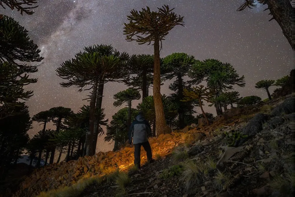 La imagen neuquina que conquistó al mundo