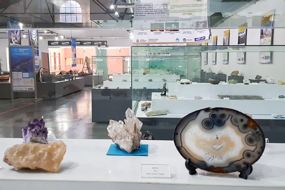 El museo de Zapala donde las piedras también tienen memoria