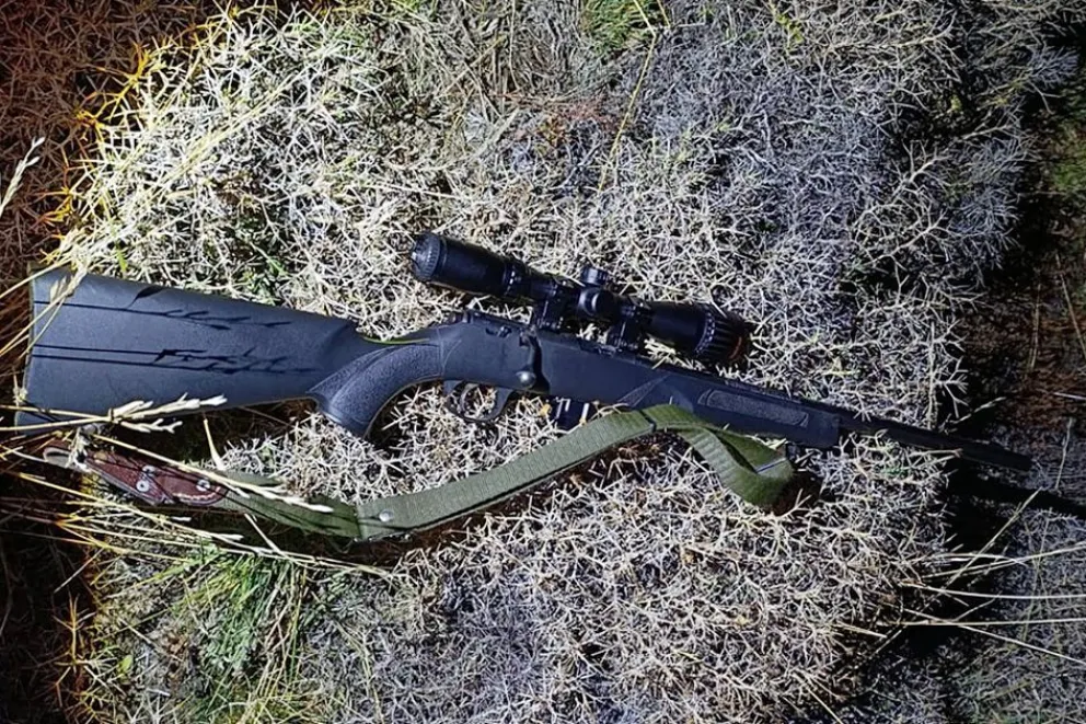 Otro golpe a la pesca ilegal y la caza furtiva