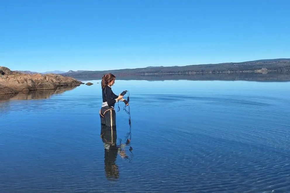 Recursos Hídricos monitoreó la calidad del agua de los lagos Aluminé y Moquehue