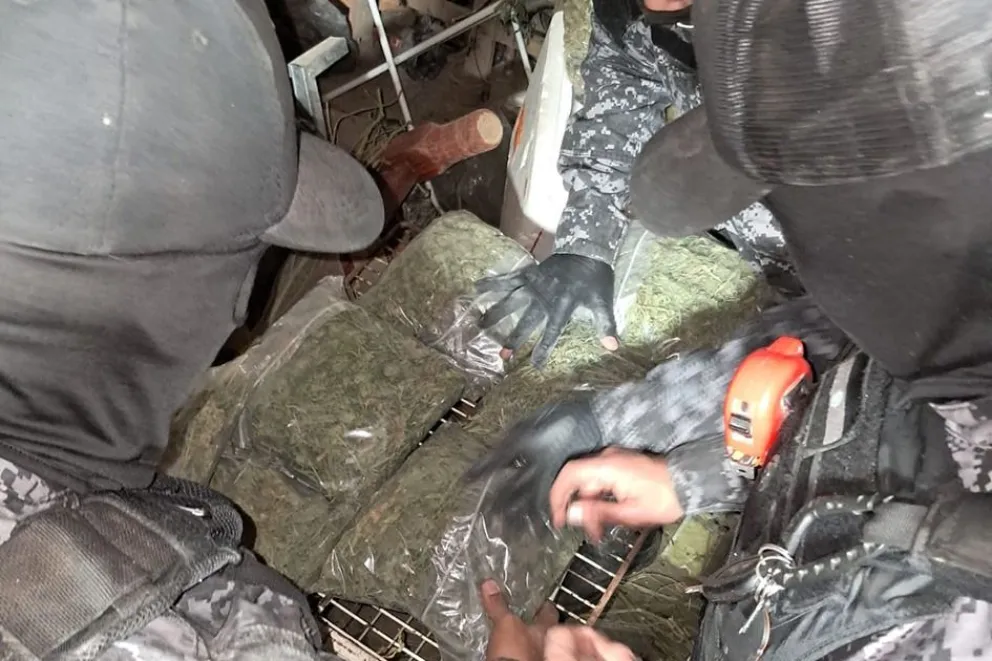 Importante golpe al narcotráfico tras múltiples allanamientos