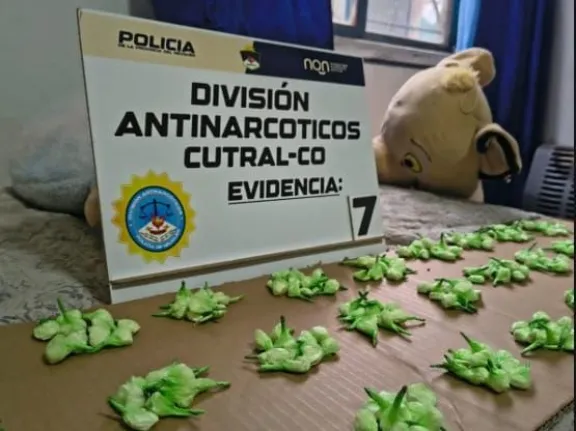 Allanaron dos viviendas y secuestraron 350 dosis de cocaína en Cutral Co