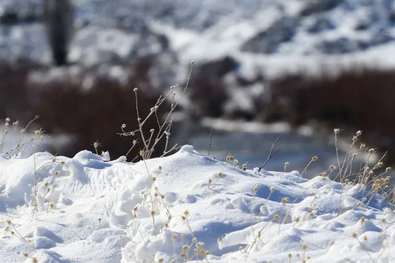 Fin de semana con nevadas intensas y ráfagas en Neuquén y Río Negro