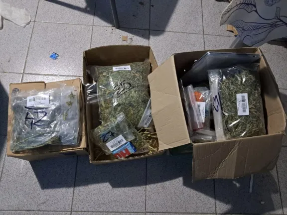 Secuestraron un kilo de marihuana en un allanamiento en Loncopué