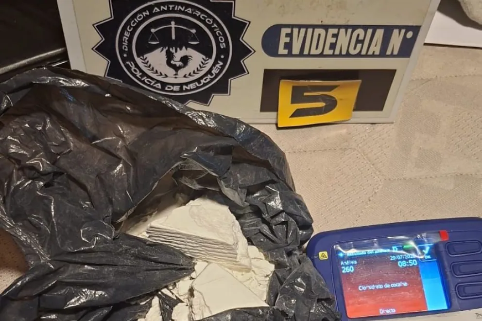 Dos detenidos y más de 380 dosis de cocaína secuestradas en Zapala