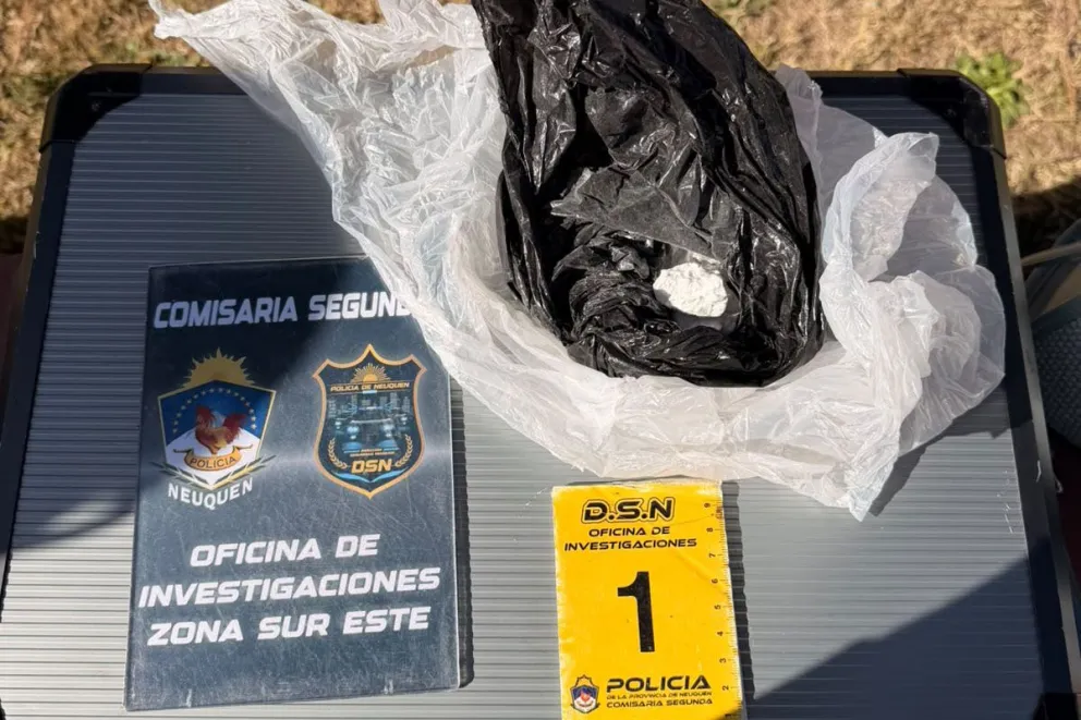 Andaban sin patente trasera y cayeron con droga