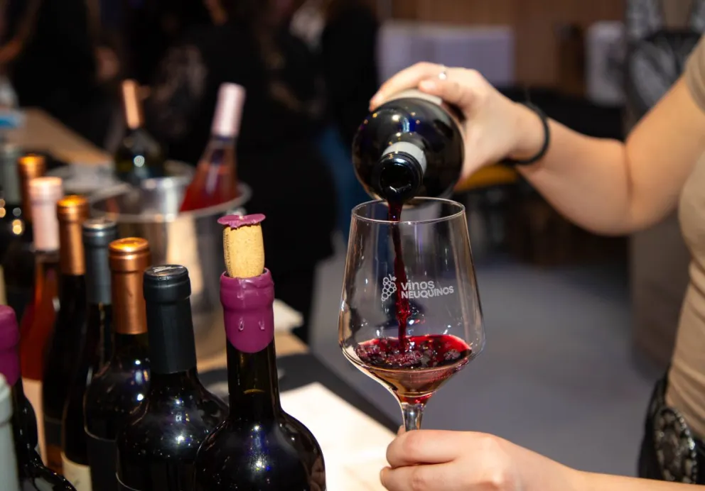 Más de 2.000 personas celebraron con La Noche del Pinot