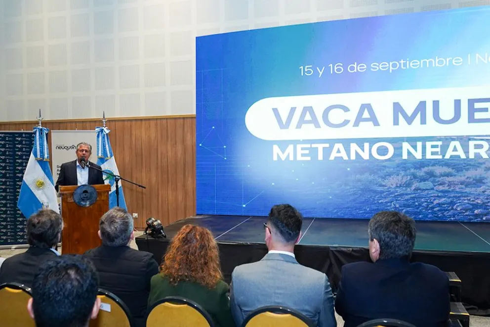 Figueroa: Neuqu&eacute;n busca producir m&aacute;s con menor impacto ambiental