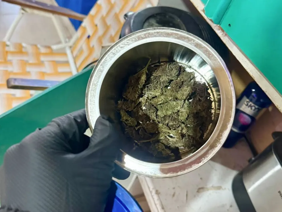 El narcotráfico se combate en toda la provincia: armas y droga secuestradas en Zapala